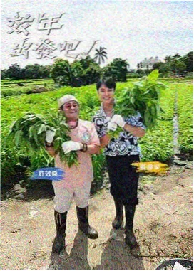 美国即兴喜剧竞技综艺剧照